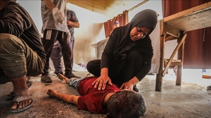 Gaza.. Israel kills an average of 92 Palestinians daily, including 27 children and 14 women.