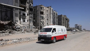 Sorry! Image not available at this time