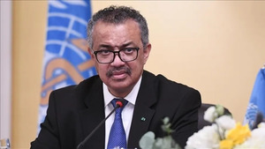 Sorry! Image not available at this time