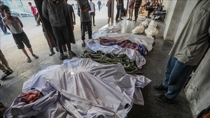 Two years of genocide.. Israel kills 7 Palestinians and intensifies bombing of Gaza