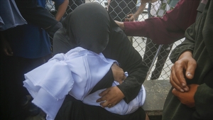 Among them are children.. Israel kills 22 Palestinians in the Gaza Strip on Wednesday.