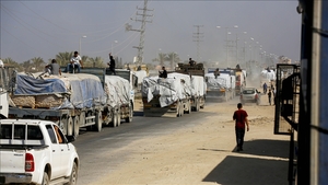 Gaza Government: 986 aid trucks have entered the sector since the ceasefire began.